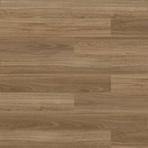 Amber 546-19