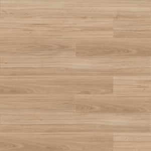 Minuet 546-01
