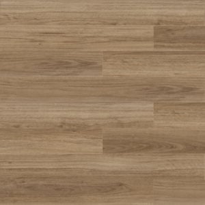 Harmony 546-02