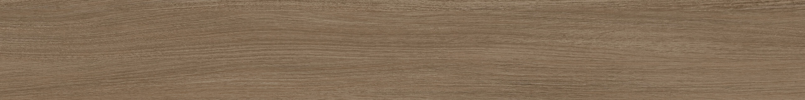 Grace 557-20 - Image 3