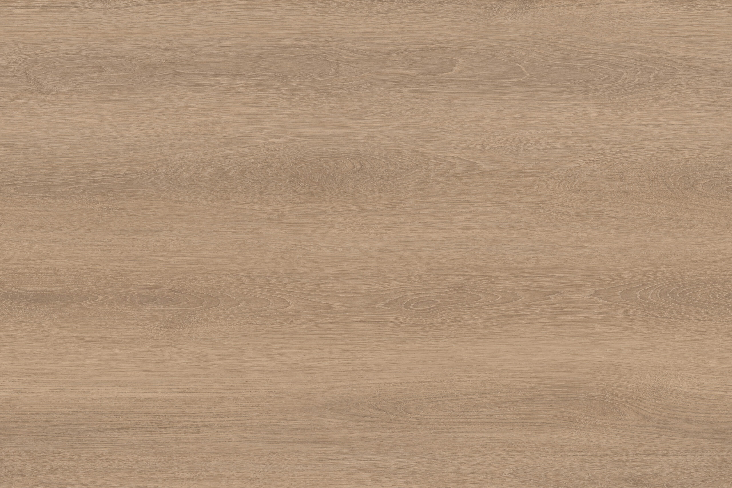 Hazel 455-20 - Image 2