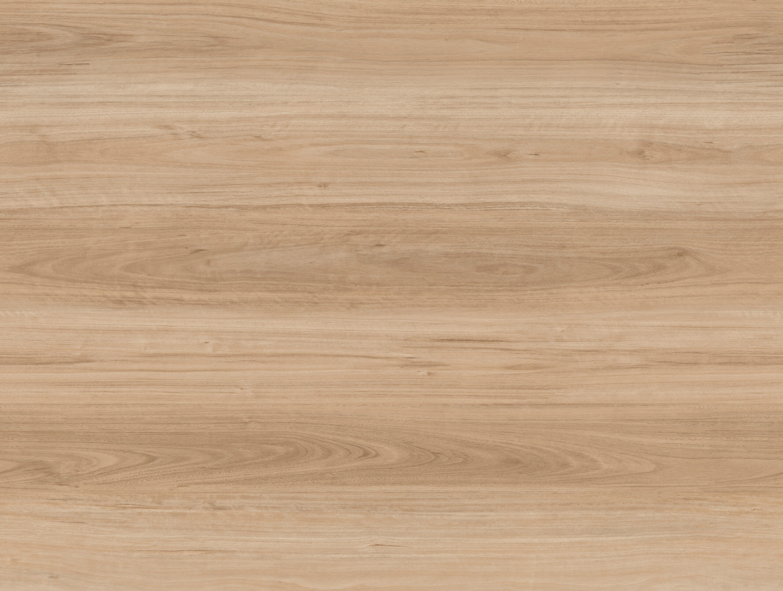 Minuet 546-01 - Image 2
