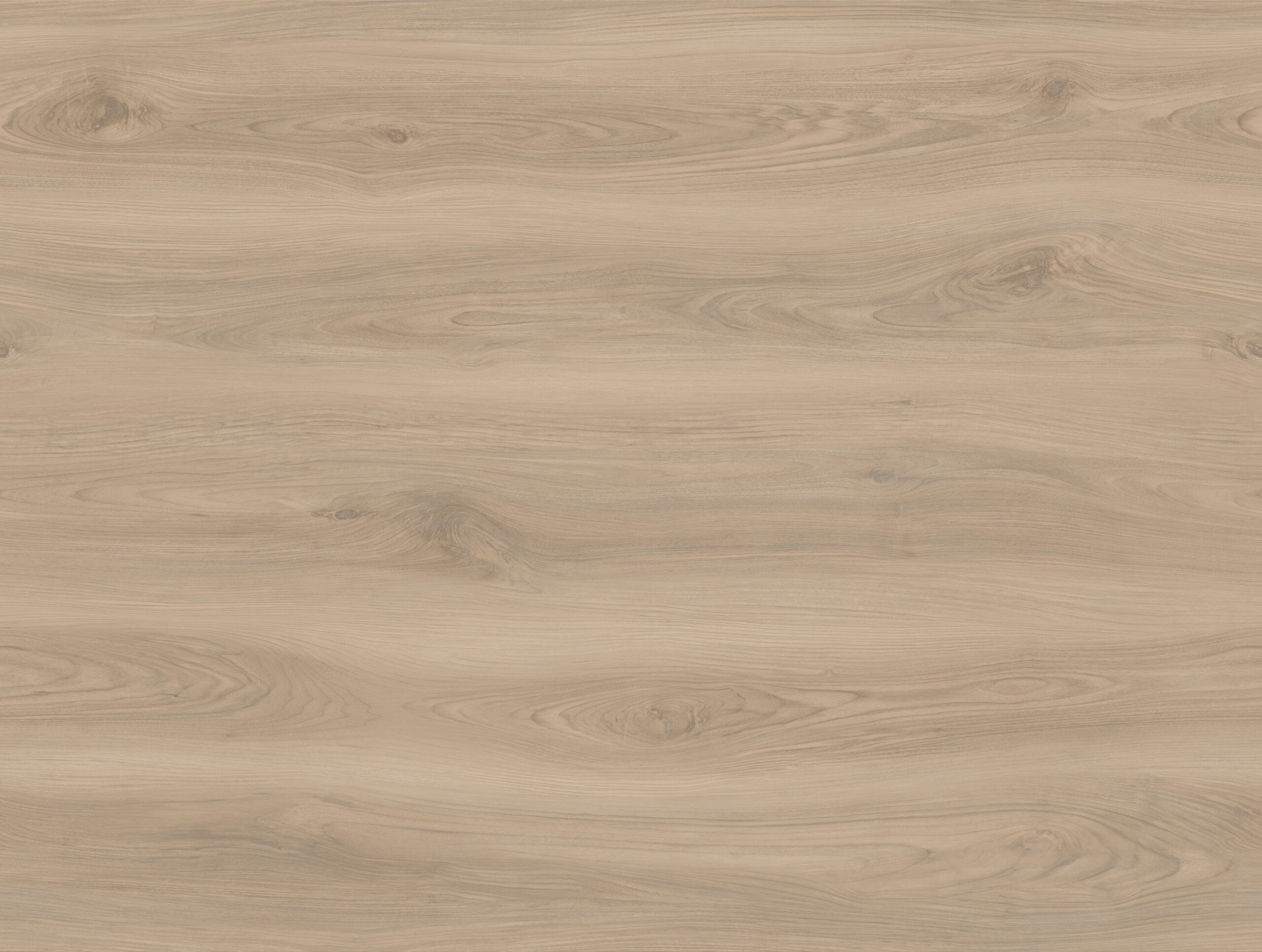 Tawny 571-06 - Image 2